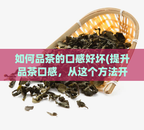 如何品茶的口感好坏(提升品茶口感，从这个方法开始！)