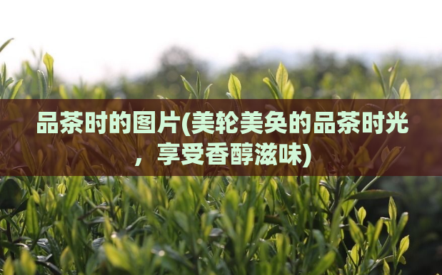 品茶时的图片(美轮美奂的品茶时光,享受香醇滋味)