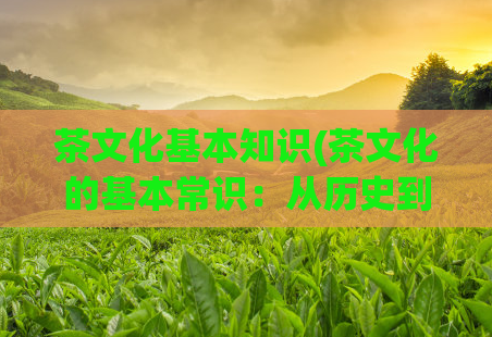 茶文化基本知识(茶文化的基本常识：从历史到品种到鉴赏)