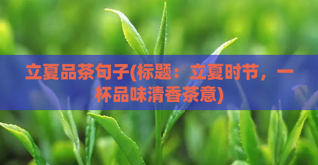 立夏品茶句子(标题：立夏时节，一杯品味清香茶意)