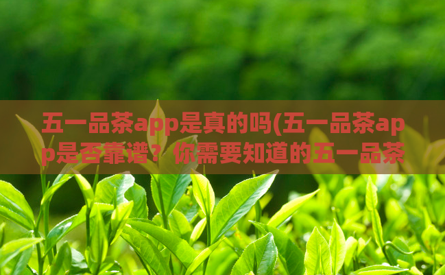 五一品茶app是真的吗(五一品茶app是否靠谱？你需要知道的五一品茶app真相)