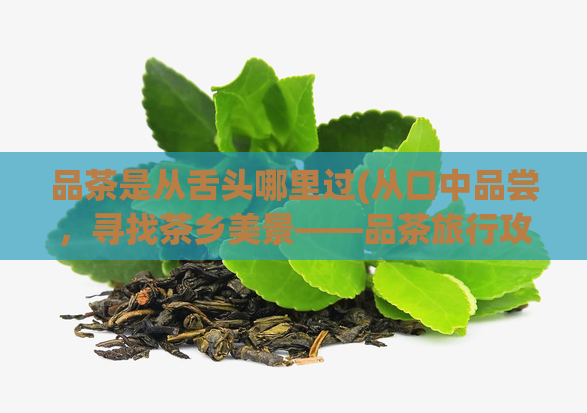 品茶是从舌头哪里过(从口中品尝，寻找茶乡美景——品茶旅行攻略)