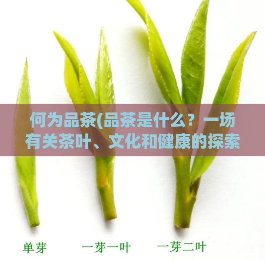 何为品茶(品茶是什么？一场有关茶叶、文化和健康的探索)