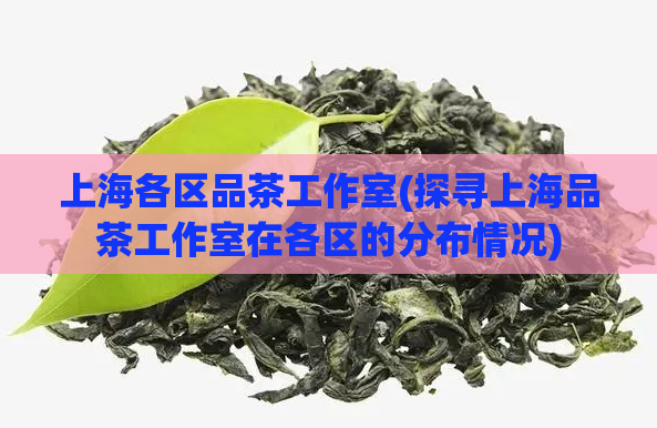 上海各区品茶工作室(探寻上海品茶工作室在各区的分布情况)