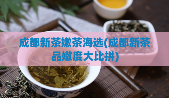 成都新茶嫩茶海选(成都新茶品嫩度大比拼)