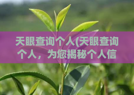 天眼查询个人(天眼查询个人，为您揭秘个人信用黑名单)