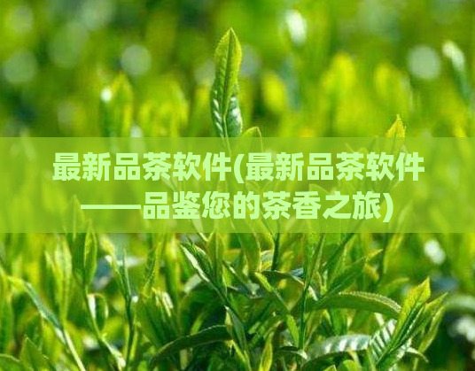 最新品茶软件(最新品茶软件——品鉴您的茶香之旅)