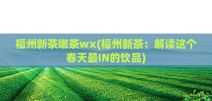 福州新茶嫩茶wx(福州新茶：解读这个春天最IN的饮品)