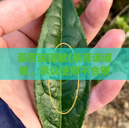 茶百道道歉(茶百道道歉，承认使用不合规茶叶，将加强质量检查。)