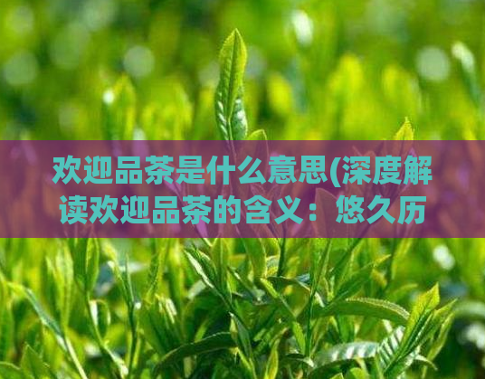 欢迎品茶是什么意思(深度解读欢迎品茶的含义：悠久历史与文化积淀)