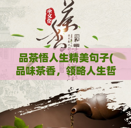 品茶悟人生精美句子(品味茶香，领略人生哲理)