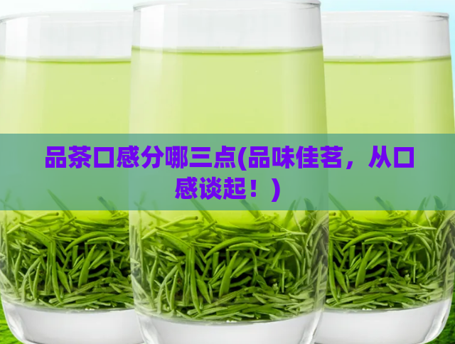 品茶口感分哪三点(品味佳茗，从口感谈起！)