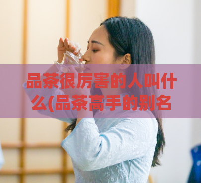 品茶很厉害的人叫什么(品茶高手的别名是什么?)