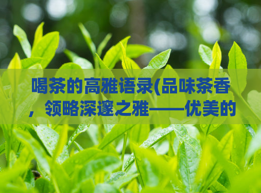 喝茶的高雅语录(品味茶香，领略深邃之雅——优美的喝茶语录)