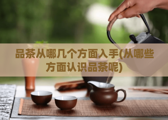品茶从哪几个方面入手(从哪些方面认识品茶呢)