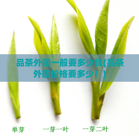 品茶外围一般要多少钱(品茶外围价格要多少！)