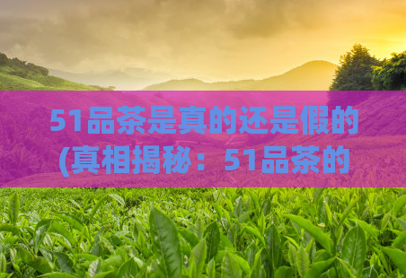 51品茶是真的还是假的(真相揭秘：51品茶的真假你知道吗？)