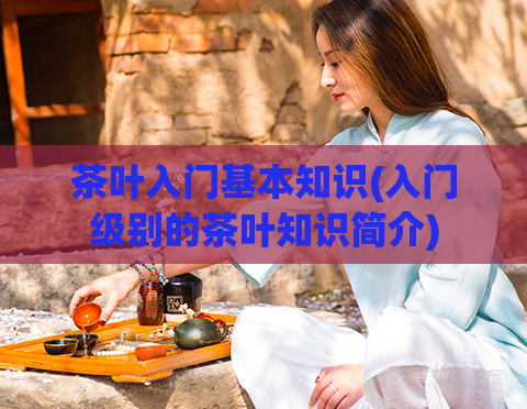 茶叶入门基本知识(入门级别的茶叶知识简介)