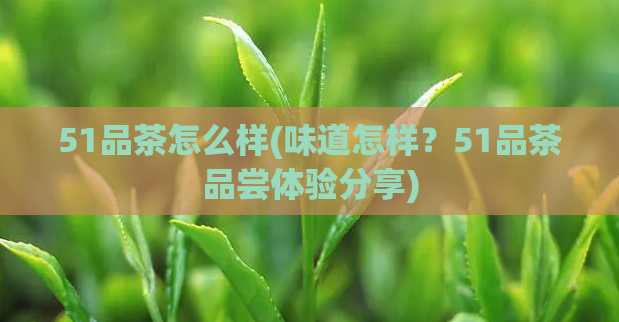 51品茶怎么样(味道怎样?51品茶品尝体验分享)