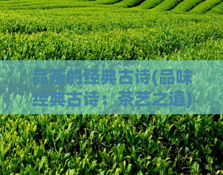 品茶的经典古诗(品味经典古诗:茶艺之道)