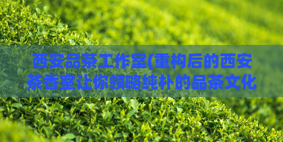 西安品茶工作室(重构后的西安茶香室让你领略纯朴的品茶文化)