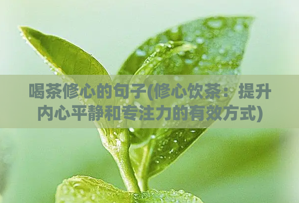 喝茶修心的句子(修心饮茶：提升内心平静和专注力的有效方式)