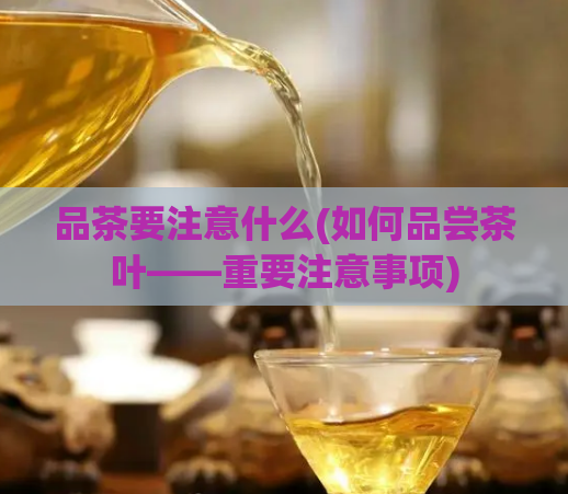 品茶要注意什么(如何品尝茶叶——重要注意事项)