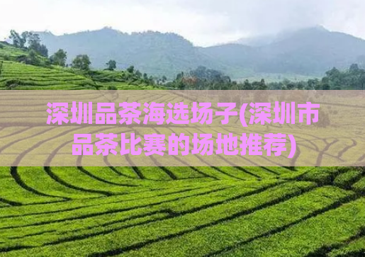深圳品茶海选场子(深圳市品茶比赛的场地推荐)