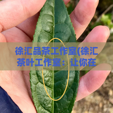 徐汇品茶工作室(徐汇茶叶工作室：让你在家也能品味好茶)