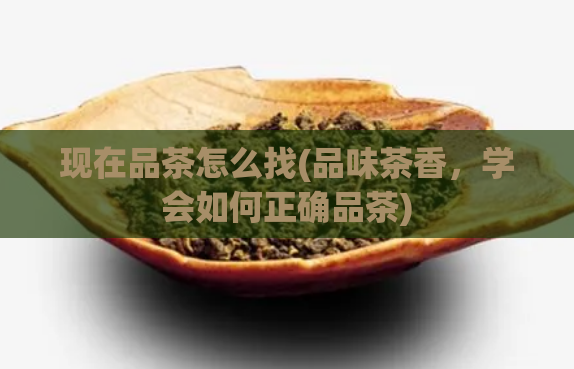 现在品茶怎么找(品味茶香，学会如何正确品茶)
