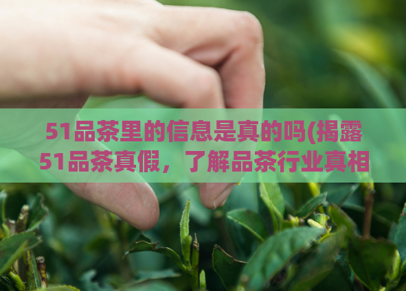 51品茶里的信息是真的吗(揭露51品茶真假,了解品茶行业真相)