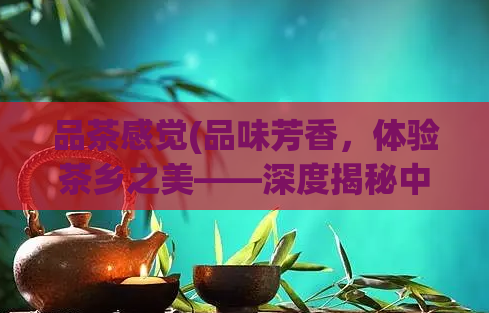 品茶感觉(品味芳香,体验茶乡之美——深度揭秘中国茶文化)