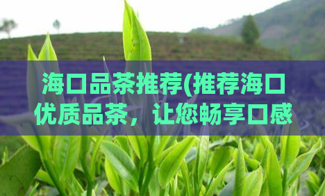 海口品茶推荐(推荐海口优质品茶，让您畅享口感与健康)