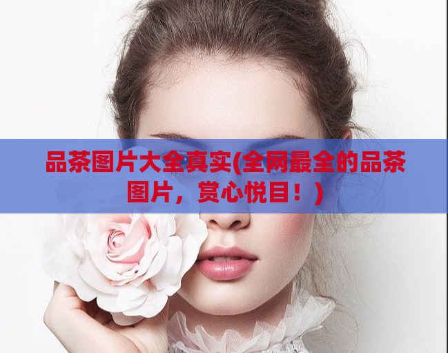 品茶图片大全真实(全网最全的品茶图片，赏心悦目！)