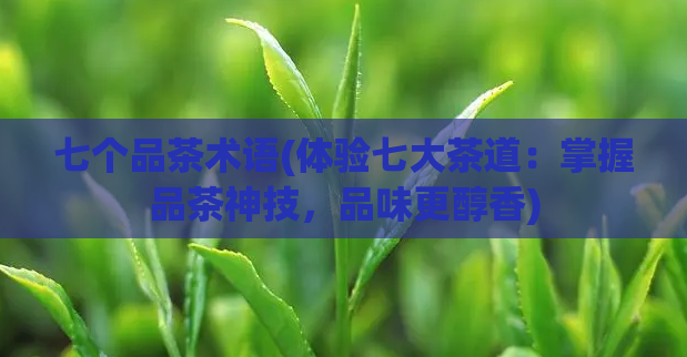 七个品茶术语(体验七大茶道:掌握品茶神技,品味更醇香)