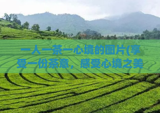 一人一茶一心境的图片(享受一份茶意，感受心境之美)