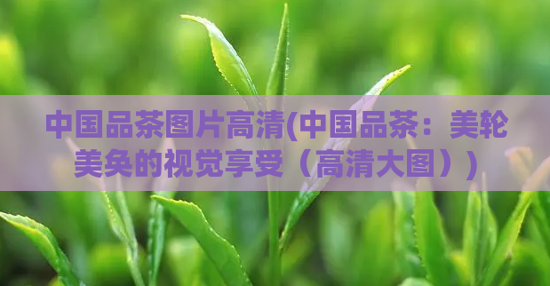 中国品茶图片高清(中国品茶：美轮美奂的视觉享受（高清大图）)