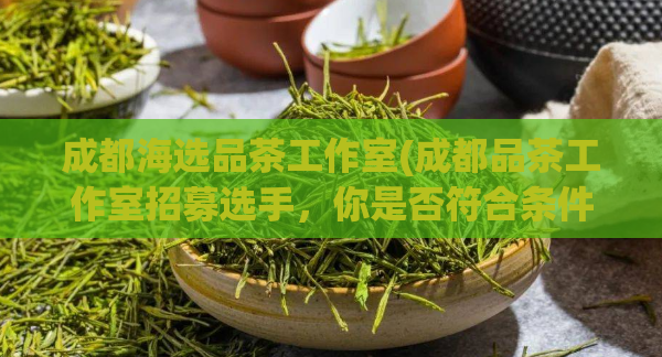 成都海选品茶工作室(成都品茶工作室招募选手,你是否符合条件?)
