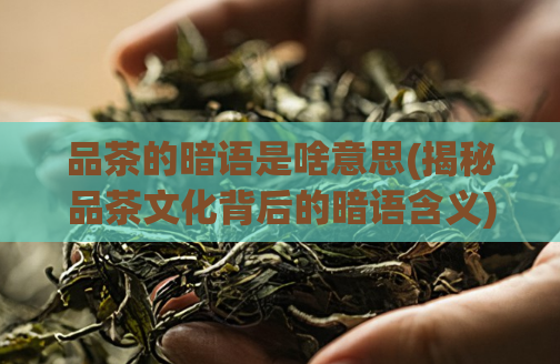 品茶的暗语是啥意思(揭秘品茶文化背后的暗语含义)