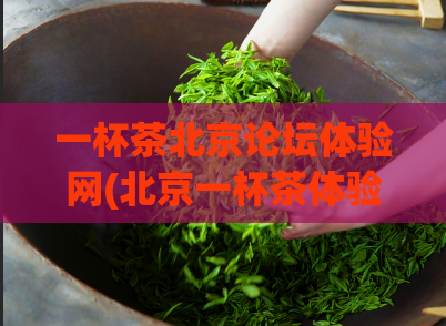 一杯茶北京论坛体验网(北京一杯茶体验论坛：品味茶文化的心灵之旅)