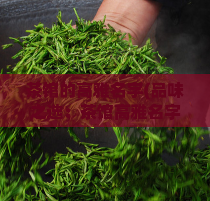 茶馆的高雅名字(品味之选:茶馆高雅名字的含义与故事)