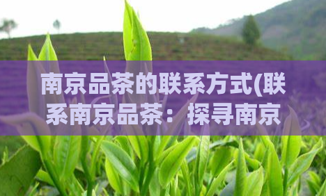 南京品茶的联系方式(联系南京品茶：探寻南京品茶之道)