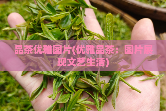 品茶优雅图片(优雅品茶:图片展现文艺生活)
