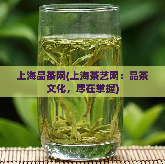 上海品茶网(上海茶艺网：品茶文化，尽在掌握)