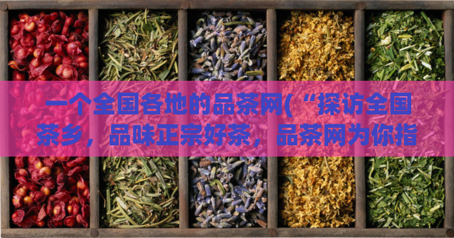 一个全国各地的品茶网(“探访全国茶乡,品味正宗好茶,品茶网为你指路”)