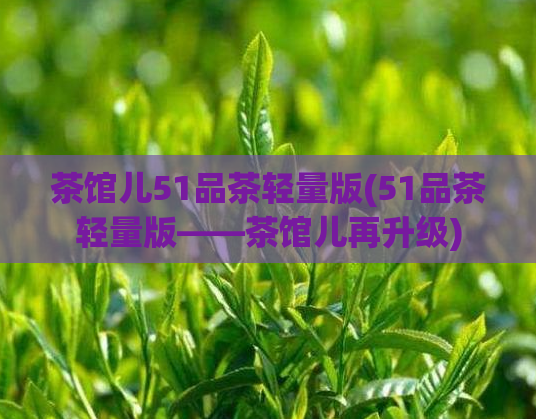 茶馆儿51品茶轻量版(51品茶轻量版——茶馆儿再升级)