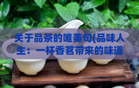 关于品茶的唯美句(品味人生：一杯香茗带来的味道与感悟)