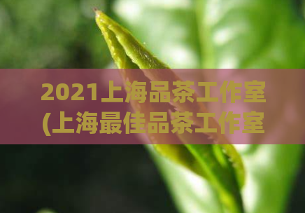 2021上海品茶工作室(上海最佳品茶工作室推荐2021年顶级品茶馆)