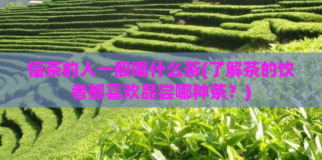 懂茶的人一般喝什么茶(了解茶的饮者都喜欢品尝哪种茶？)