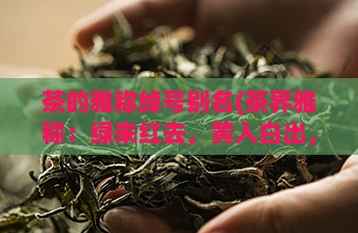 茶的雅称绰号别名(茶界雅称：绿来红去，黄入白出，你知其中的别名吗？)